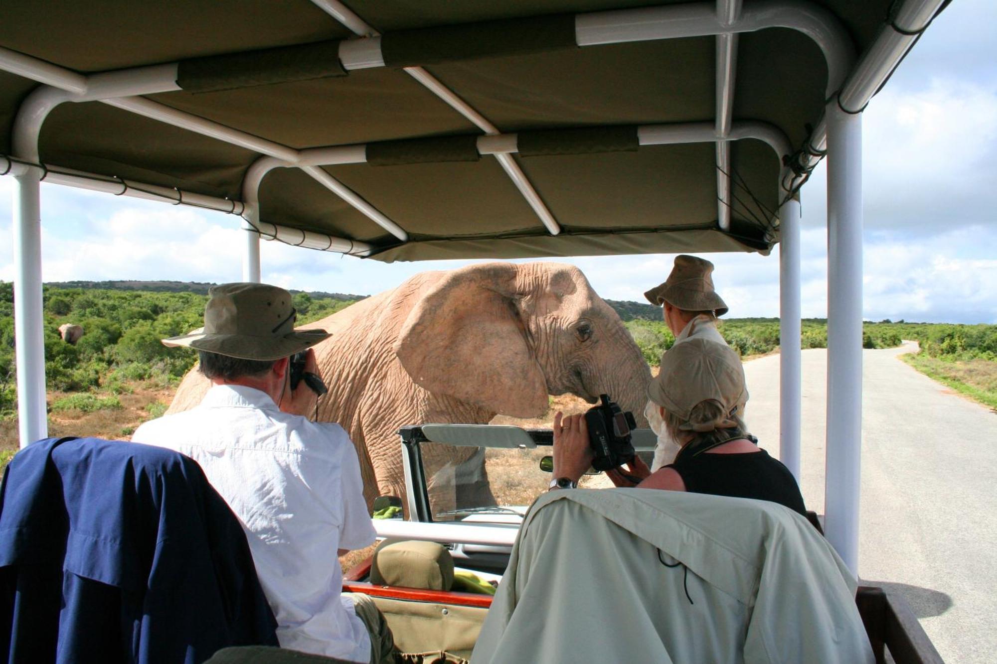 Hitgeheim Country Lodge Addo Esterno foto