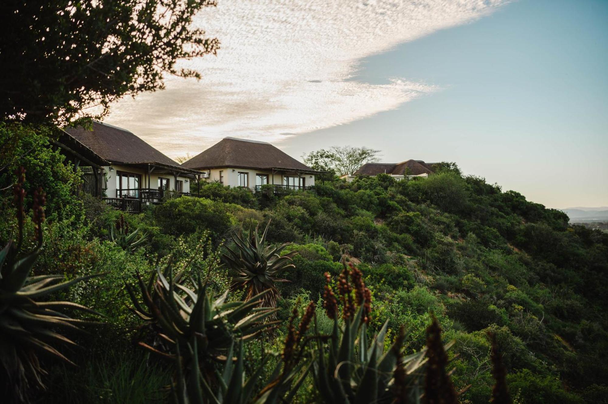 Hitgeheim Country Lodge Addo Esterno foto