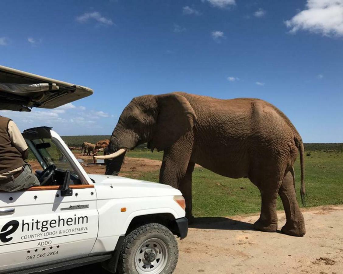 Hitgeheim Country Lodge Addo Esterno foto